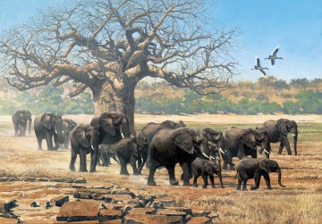Elefantenherde mit Sattel berechnete Störche und Baobab Ölgemälde